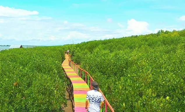 Melepas Penat di Hutan Mangrove Lantebung Makassar