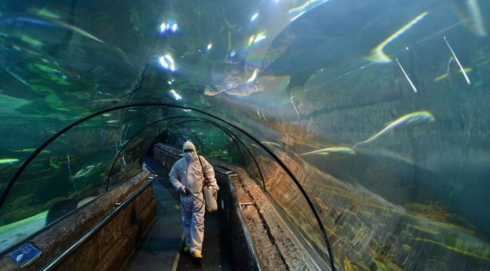 Ini Daftar 23 Tempat Hiburan Jakarta yang Dibuka