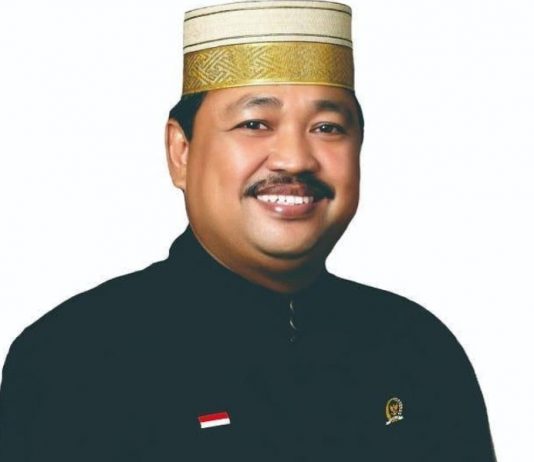 Andi Jamaro Dulung, Dari Akademisi hingga Motor Organisasi Nasional