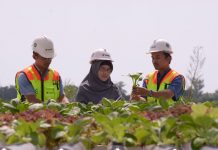 Penanaman Pohon yang Mengesankan dari MIND ID