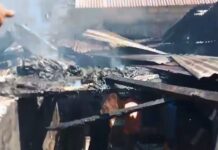 Si Jago Merah Mengamuk di Tomia Timur Wakatobi Rumah Warga Jadi Abu