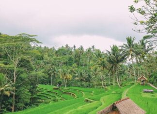 Memberdayakan Desa Maju dan Sejahtera