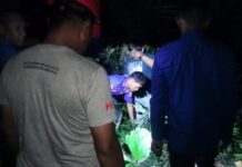 Dedikasi Penyelamatan Damkar Polman : Evakuasi Anjing Liar Terjebak 3 Hari di Sumur Malam Hari