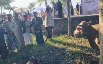 Bupati Bulukumba Andi Muchtar Ali Yusuf Apresiasi Program Qurban Bersama Kerukunan Masyarakat Bulukumba ke-5