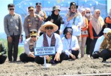 Mentan Amran Canangkan Majene Jadi “Kabupaten Bawang” di Sulawesi Barat, Pasok Kawasan Timur Indonesia