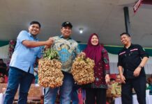 Chaidir Syam Perkuat Sinergi dan Kolaboratif di Jambore PKK Maros