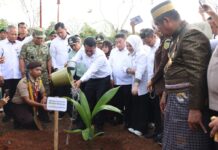 Percepat Hilirisasi Kelapa Nasional, Mentan Amran Launching Gerakan Menanam Lima Juta Kelapa di Selayar