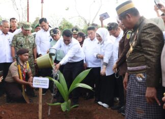 Percepat Hilirisasi Kelapa Nasional, Mentan Amran Launching Gerakan Menanam Lima Juta Kelapa di Selayar