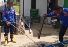 Makin Sering Bermigrasi, Satwa Liar Muncul di Permukiman : Damkar Polman Tingkatkan Kesiapsiagaan