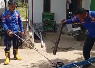 Makin Sering Bermigrasi, Satwa Liar Muncul di Permukiman : Damkar Polman Tingkatkan Kesiapsiagaan