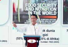 Mentan/Kabapanas: 2026 Papua Sudah Bisa Mandiri Pangan Seperti Pulau Lainnya