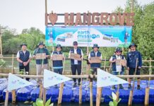 Telkom Gelar Earth Mission Mangrove Chapter di Hari Menanam Pohon Sedunia