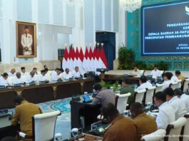 Presiden Prabowo Tegaskan Swasembada Pangan Papua, Mentan Amran Targetkan Cetak 100 Ribu Hektare Sawah