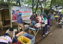 Champion Kementan Gelar Aksi Cabai dan Bawang Harga Terjangkau Amankan Nataru