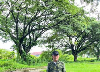 Jenderal Marga Trembesi di Mattoanging Makassar