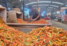 Stabilkan Harga, Kementan Kembali Guyur 1,7 Ton Cabai Rawit Merah ke Pasar Induk Kramat Jati