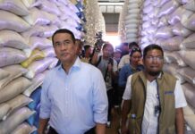 Aman, Stok Beras Melimpah, Indonesia Siap Hadapi El Nino