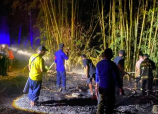 Tangani Lima Kebakaran Sehari Semalam, Satgas Karhutla Damkar Polman Lanjutkan Validasi dan Perkuat Sinergi Desa Pascakebakaran